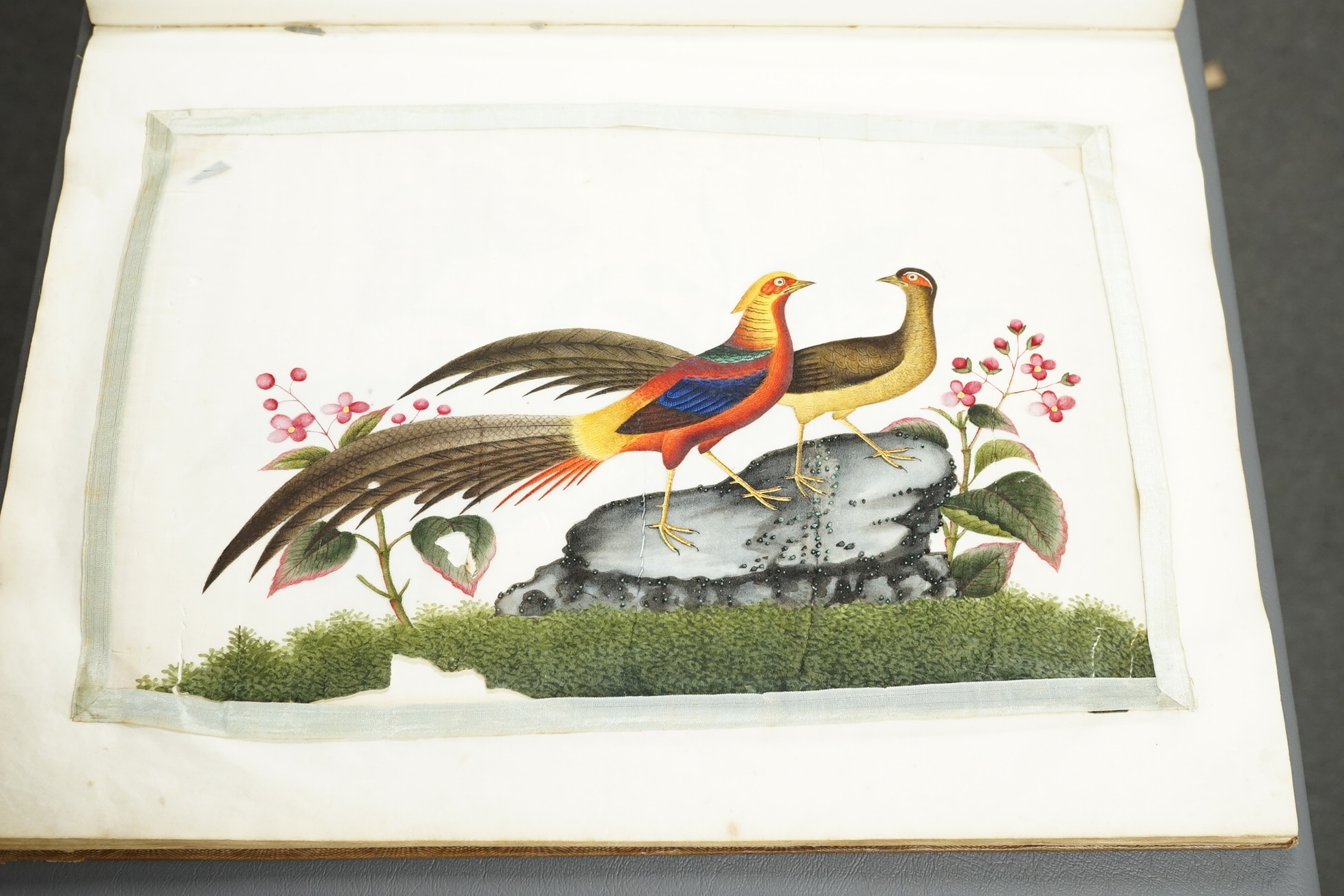 Chinese Guangzhou School , (mid 19th century), Album of 22 watercolours on pith paper and a pencil drawing on rice paper